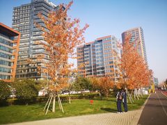 -北外滩滨江绿地