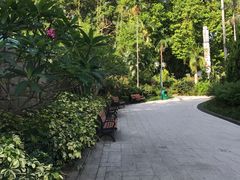 景点-九龙公园