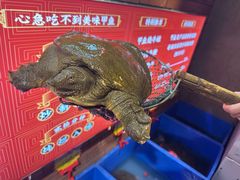 -状元甲·湖北甲鱼大王(汉口火车站店)