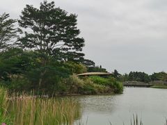 -福田红树林生态公园