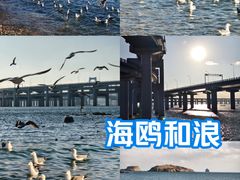 -银沙滩浴场