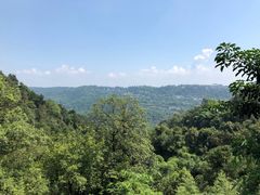-南山植物园