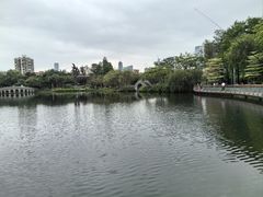 -四海公园(南山区)