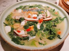 上汤桑叶苗-大榕树下顺德菜(融创茂店)