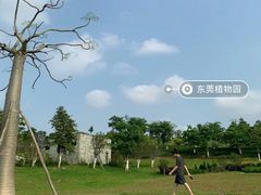 -东莞植物园