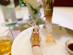 -The V泽惟·低温慢煮料理
