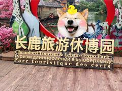 -长鹿旅游休博园
