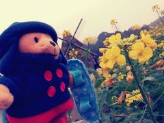 android_upload_pic-广州市石门国家森林公园