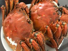 -T11生鲜超市(朝阳公园店)