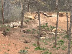 -大青山野生动物园