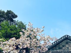 -何园