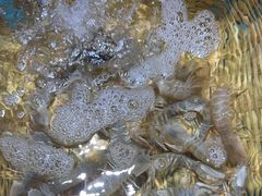 -拉完海鲜大排档(温岭店)