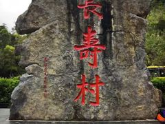 -长寿村