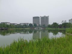 -西海子公园