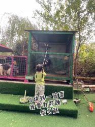 点击看大图 -可可天空农场(中大店)