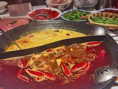 -朱光玉火锅馆(正弘城店)