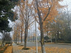 -成都中医药大学(温江校区)