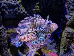 -太平洋海底世界