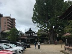 -医王山·飞騨国分寺