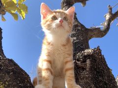 -CGWANG王氏教育(上海校区)