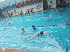 -奇缘游泳培训基地(辰茂店)