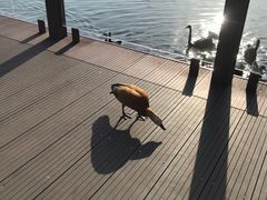 -南京汤山紫清湖生态旅游温泉度假区