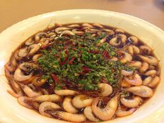 白米虾-新南华大酒店(长寿店)