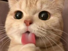 -茉沏(相城天虹店)