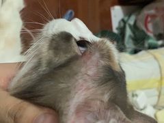 -贝利宠物医院·骨科·眼科·肿瘤转诊中心(南坪诊疗中心)