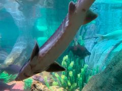 -沈阳海洋探索中心