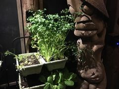 -旅马餐厅(茅家埠店)