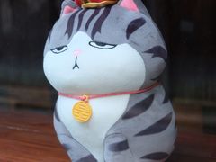 -太二酸菜鱼(汕头苏宁广场店)