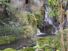 -Chom Cafe and Restaurant