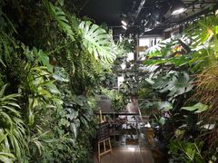 -森味薪火烧•烧鸟居酒屋•日本料理(望京店)