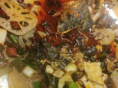 -吃城都·鱼蛙火锅(西玉龙街店)