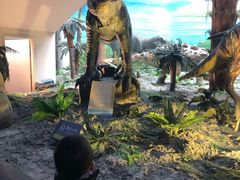 -辽宁古生物博物馆