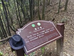 -缙云山景区