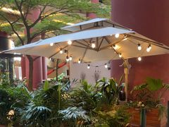 -Carrot&Cleaver蔬蔬食验室 By MissGreen(上海商城店)