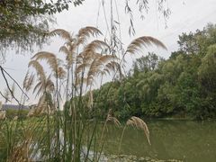 -昆山城市生态森林公园