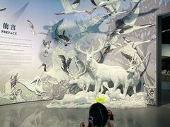 -中国湿地博物馆