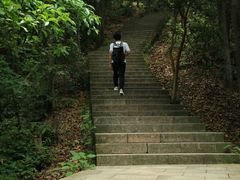 -云碧峰国家森林公园