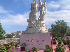 -曹州牡丹园
