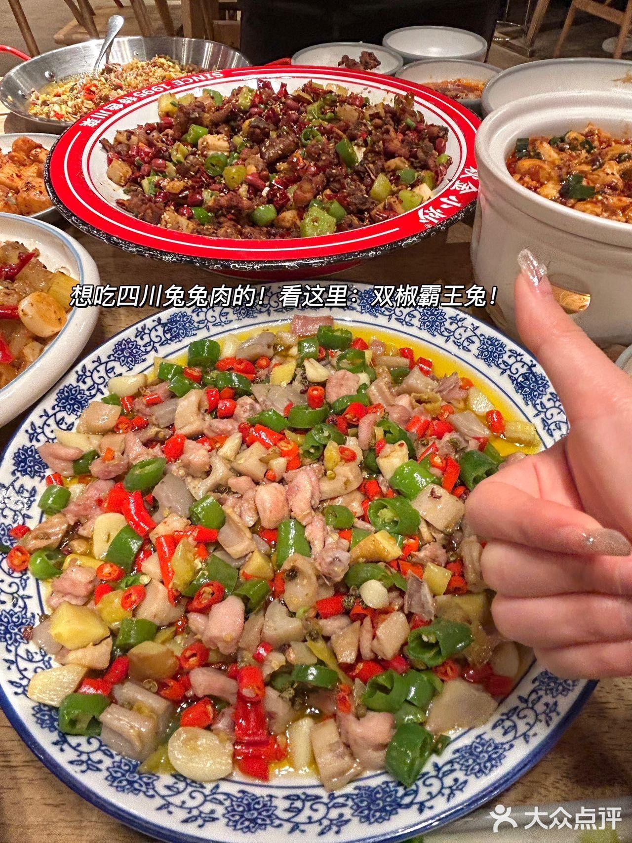 长沙德思勤的川菜，都去试一试！好吃不贵[流泪]！！！