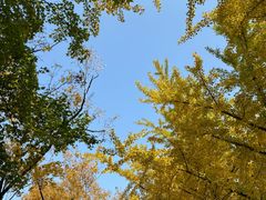 -国家植物园南园