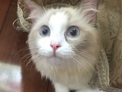 -佳雯宠物医院(金华南路分院)