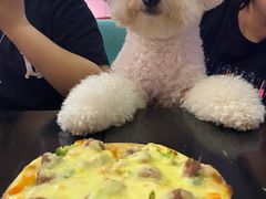 -百好乐宠物友好餐厅(朝外大街店)