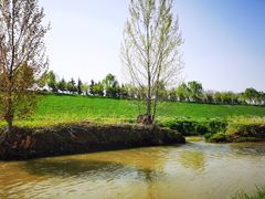 -洨河生态公园