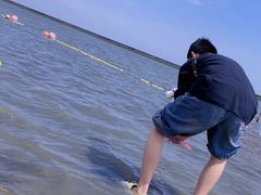 -碧海金沙