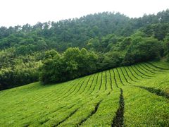 -敬亭山风景名胜区