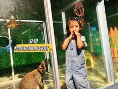 -常州海昌海洋探索馆